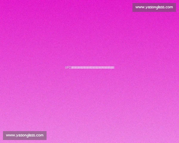 UFC重量级经典对决大布对阵锤子血战擂台全解析历史意义与战术回顾